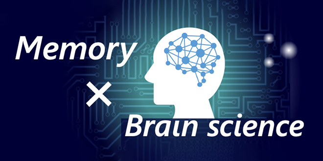 기억력 × 뇌과학